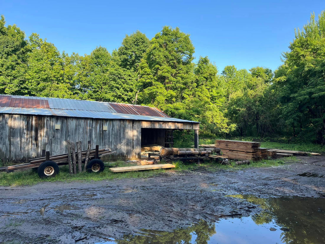 From Logs to Lumber: Custom Sawing in the North Country