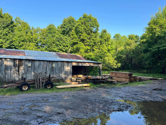 From Logs to Lumber: Custom Sawing in the North Country